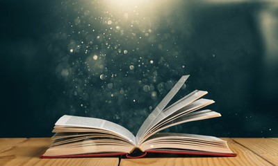 汉朝第11任皇帝汉元帝简介