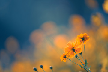 一些励志的句子