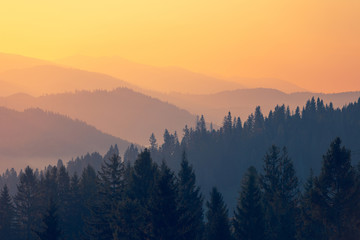 哪些养生知识适合在秋季发给顾客？