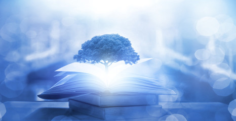 汉朝第11任皇帝汉元帝简介