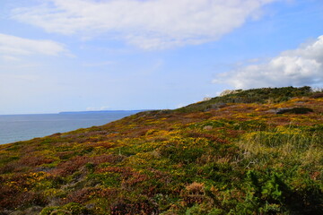 哪些养生知识适合在秋季发给顾客？