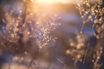 两个人互相暗恋有什么特征？