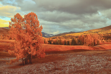 两个人互相暗恋有什么特征？