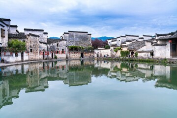 世界最奇葩的五大动物