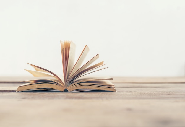 汉朝第11任皇帝汉元帝简介