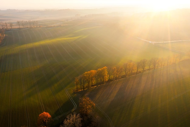 哪些养生知识适合在秋季发给顾客？