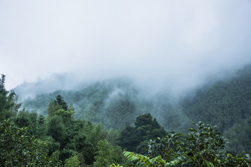 汉朝第11任皇帝汉元帝简介